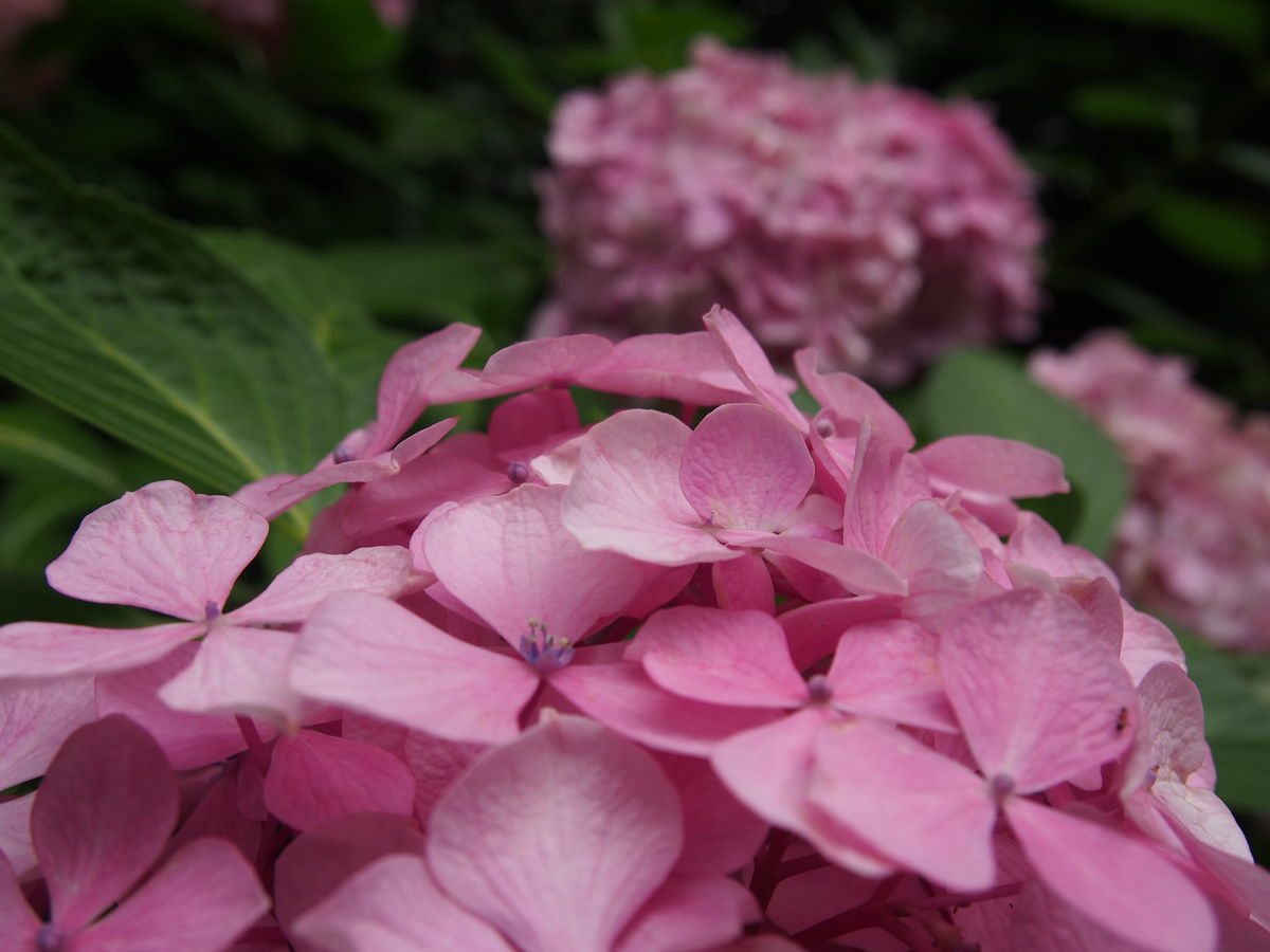 f:id:tra_live:20210709230618j:plain