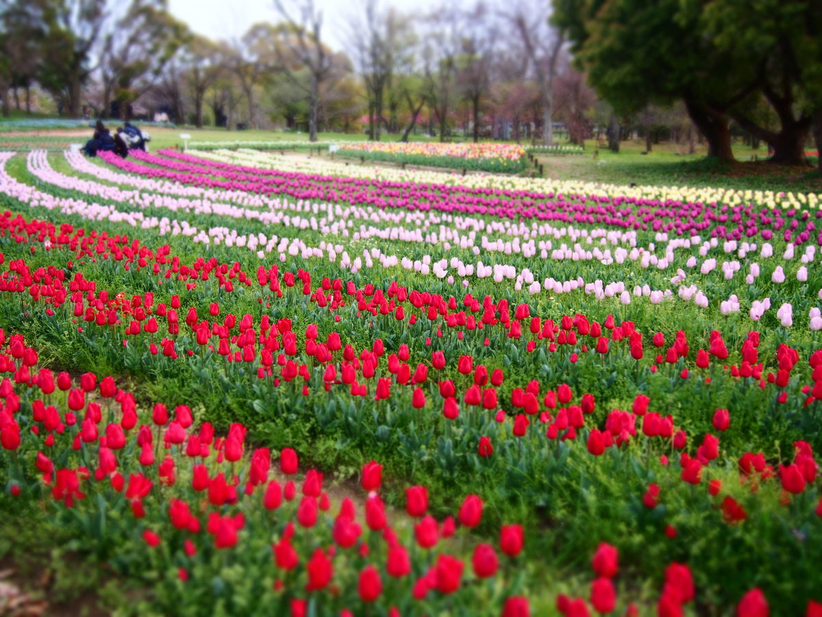 f:id:tra_live:20210711015114j:plain