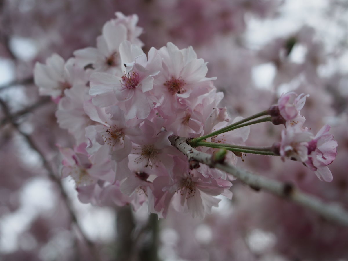 f:id:tra_live:20210711015158j:plain