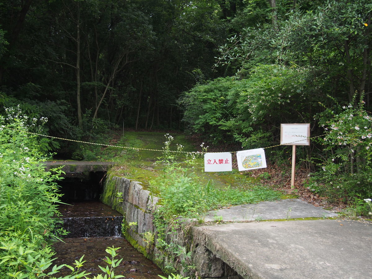 f:id:tra_live:20210711115041j:plain