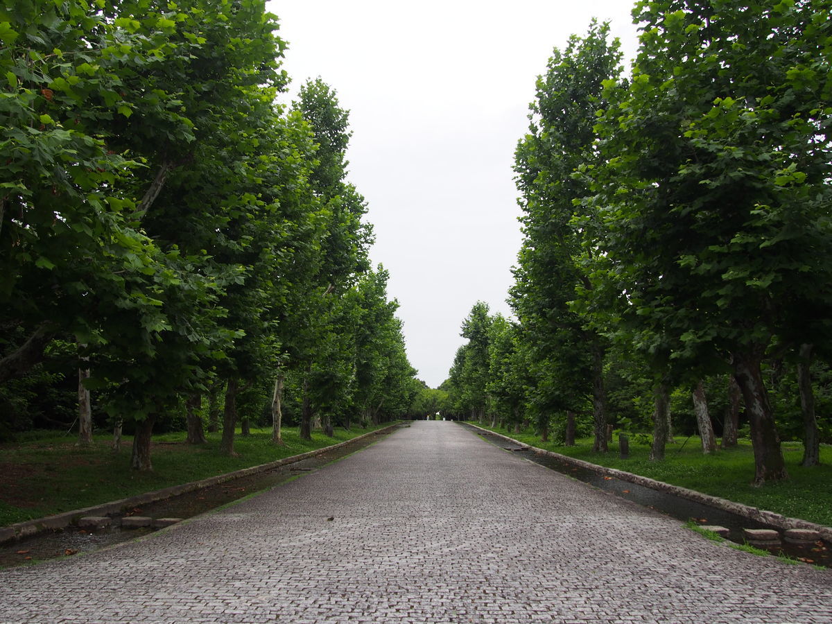 f:id:tra_live:20210711121727j:plain