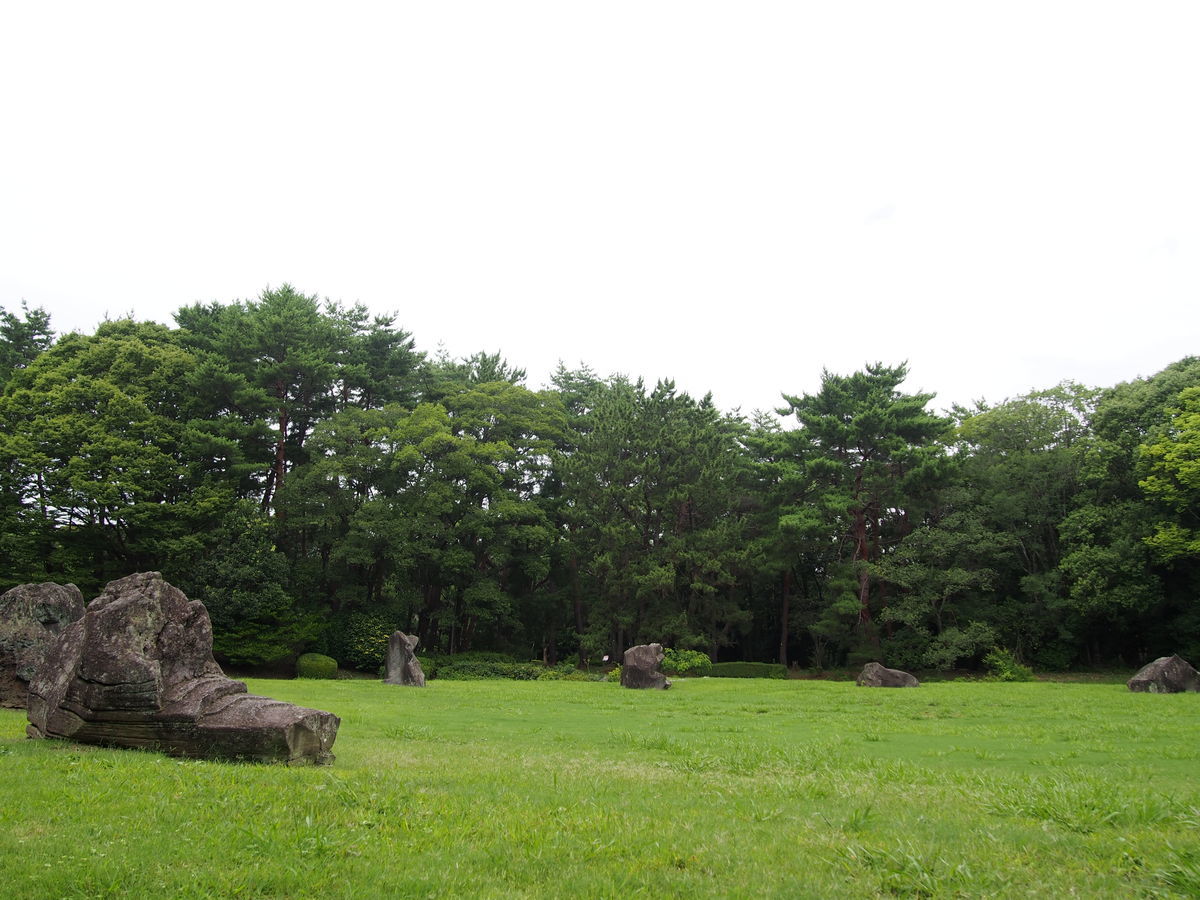 f:id:tra_live:20210711122147j:plain