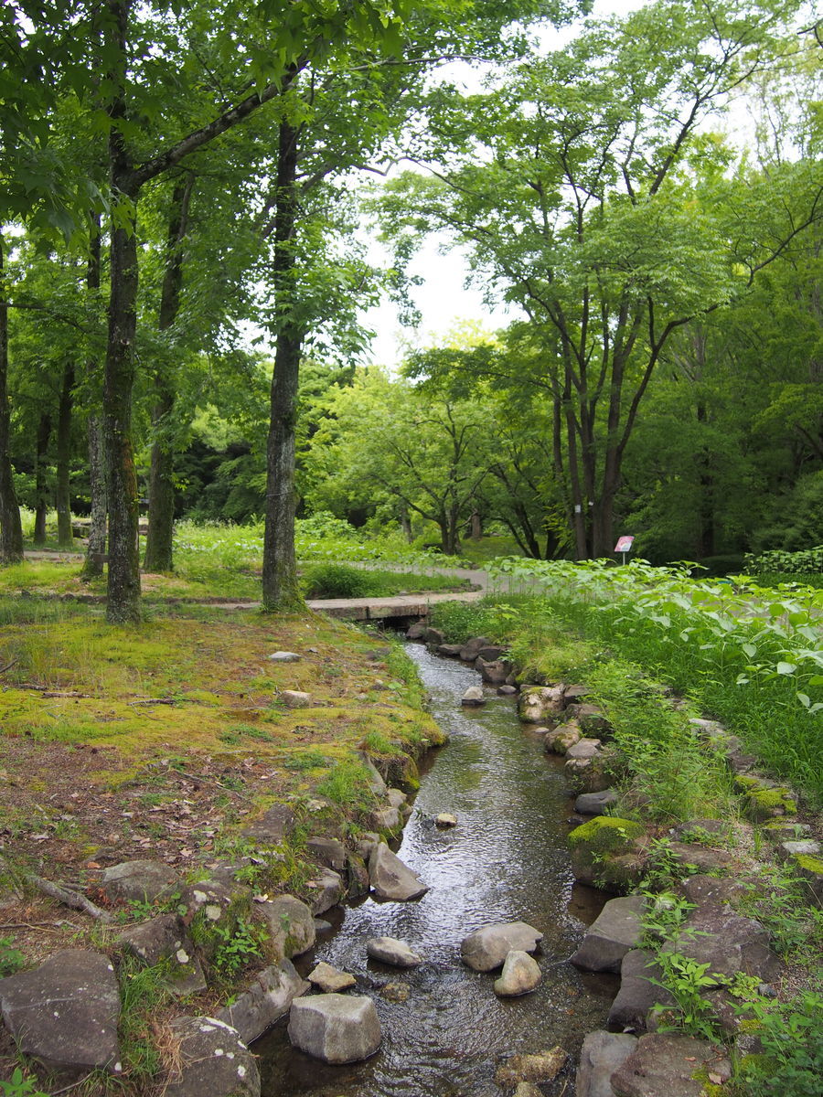 f:id:tra_live:20210711122646j:plain