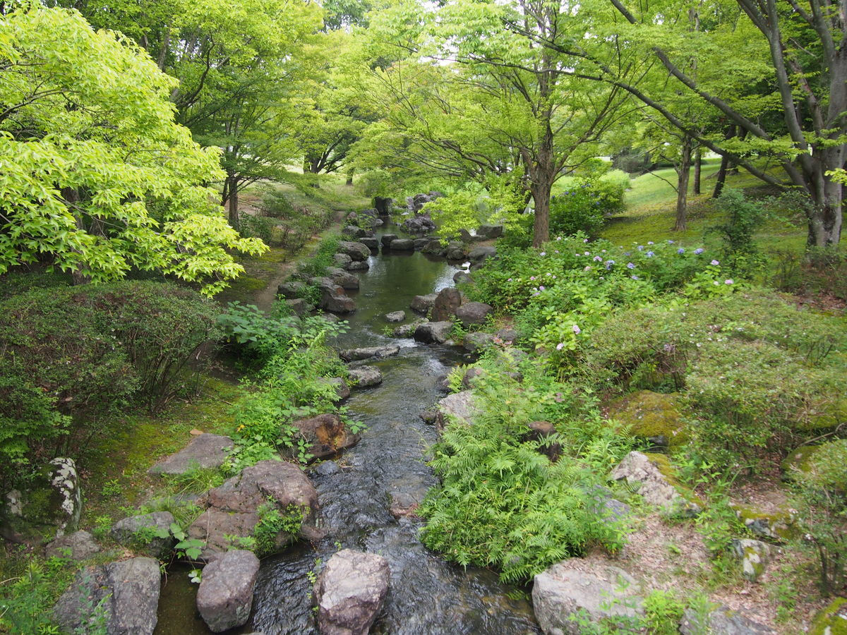 f:id:tra_live:20210711122859j:plain