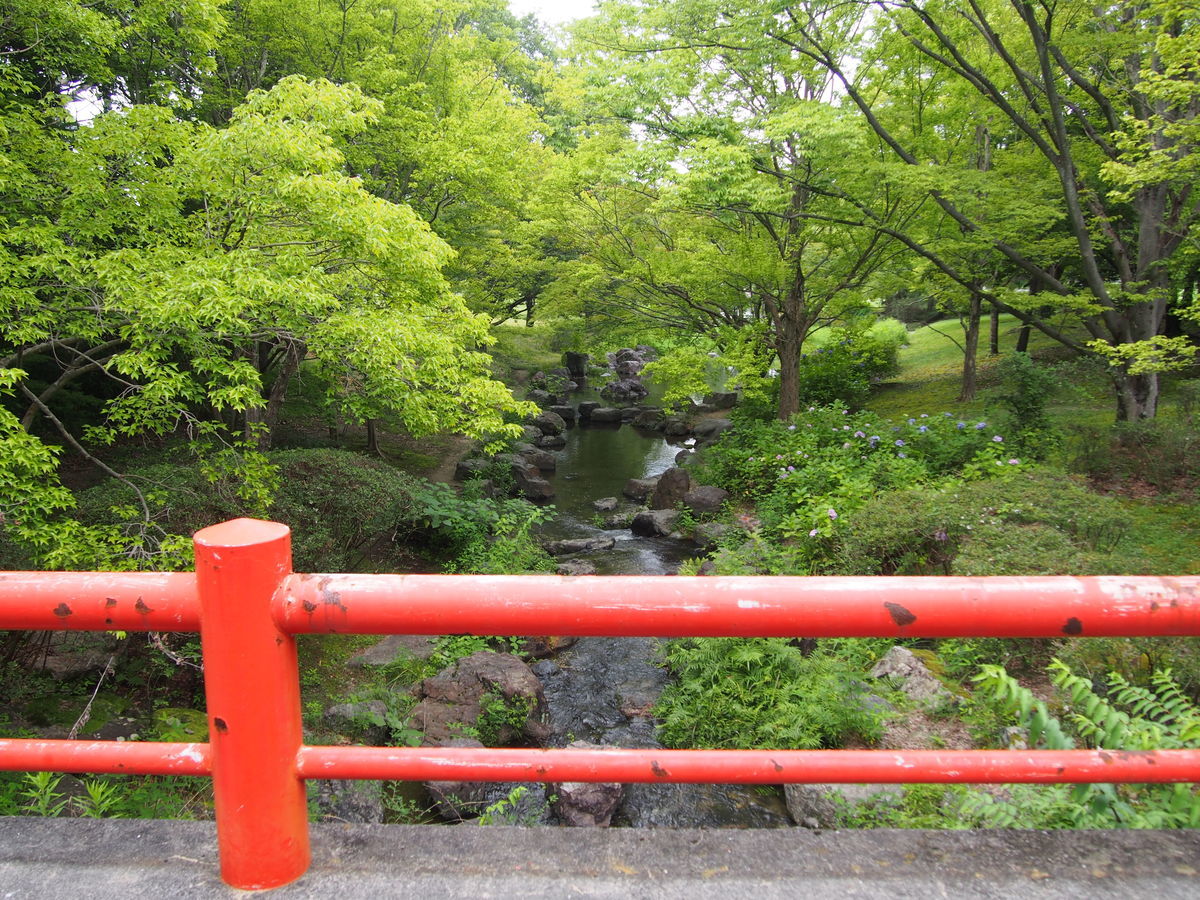 f:id:tra_live:20210711122918j:plain