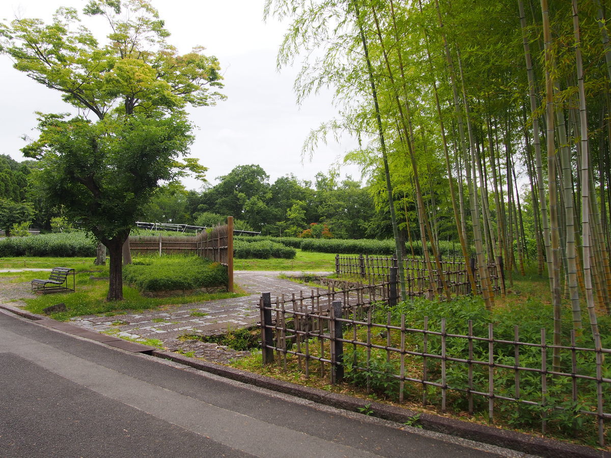 f:id:tra_live:20210711123257j:plain