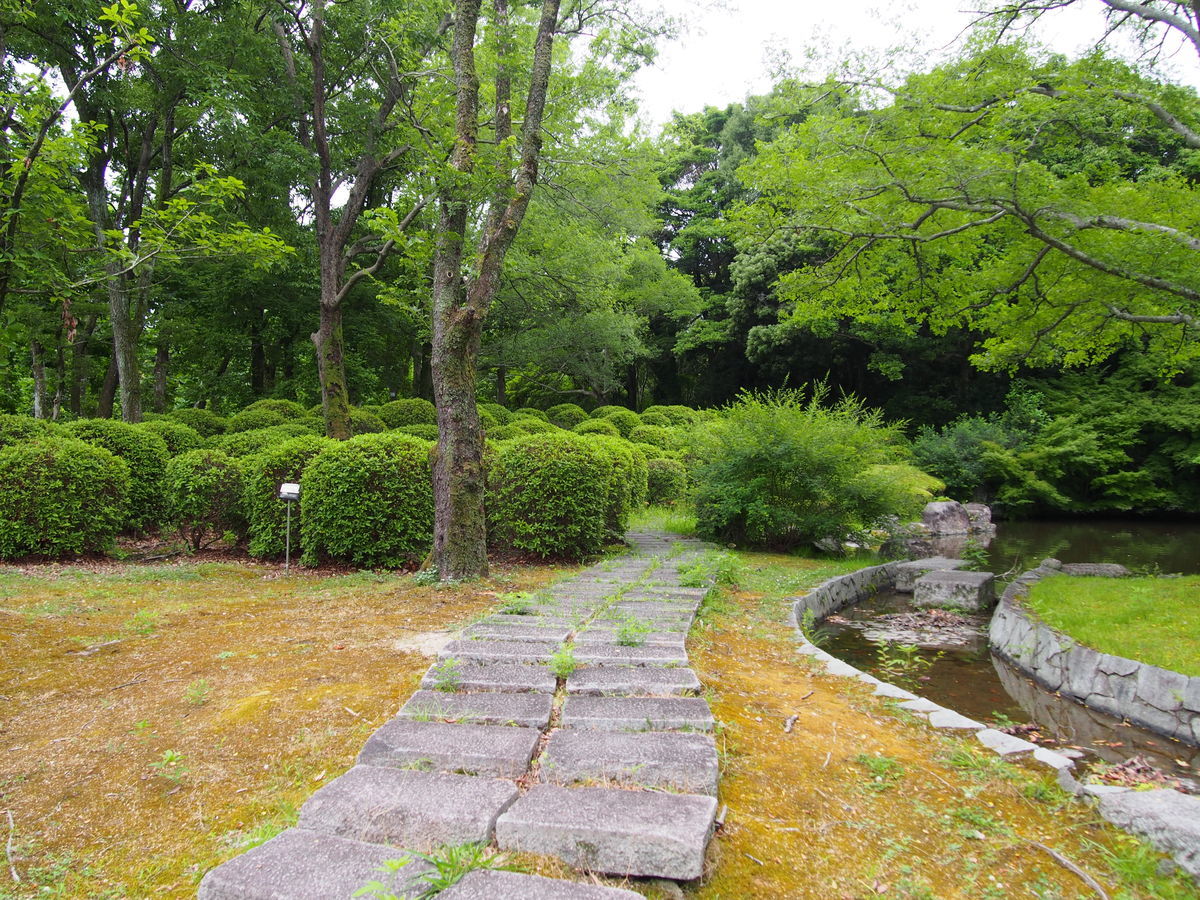 f:id:tra_live:20210711123716j:plain