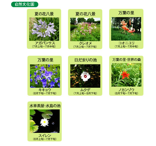 f:id:tra_live:20210711143037p:plain