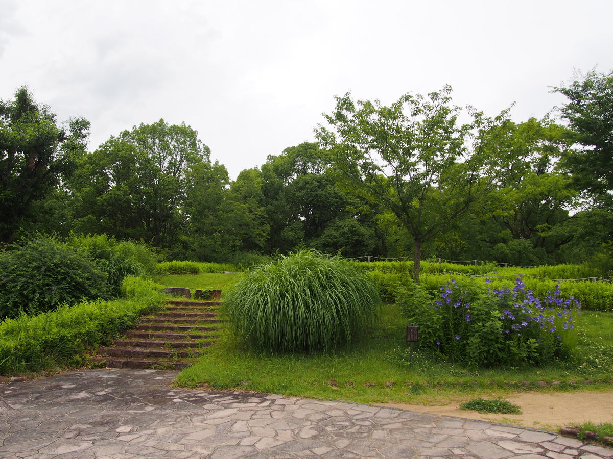 f:id:tra_live:20210711143448j:plain