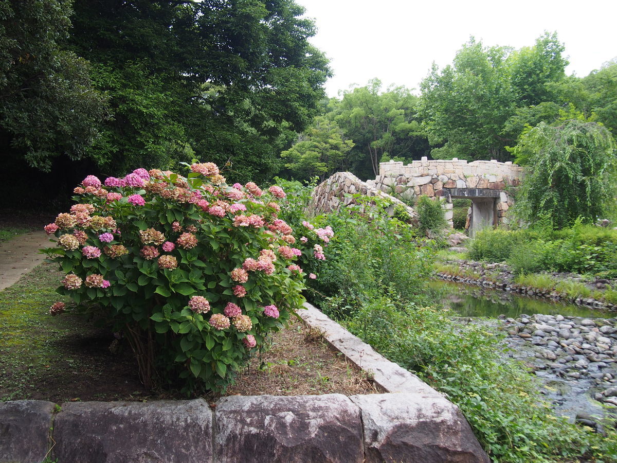 f:id:tra_live:20210711145316j:plain