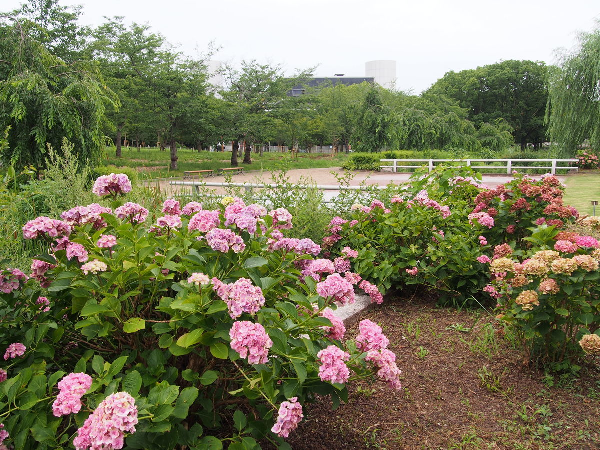 f:id:tra_live:20210711154018j:plain