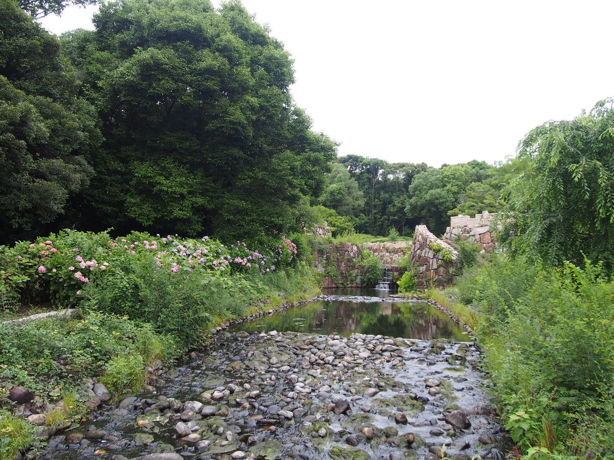 f:id:tra_live:20210711155729j:plain