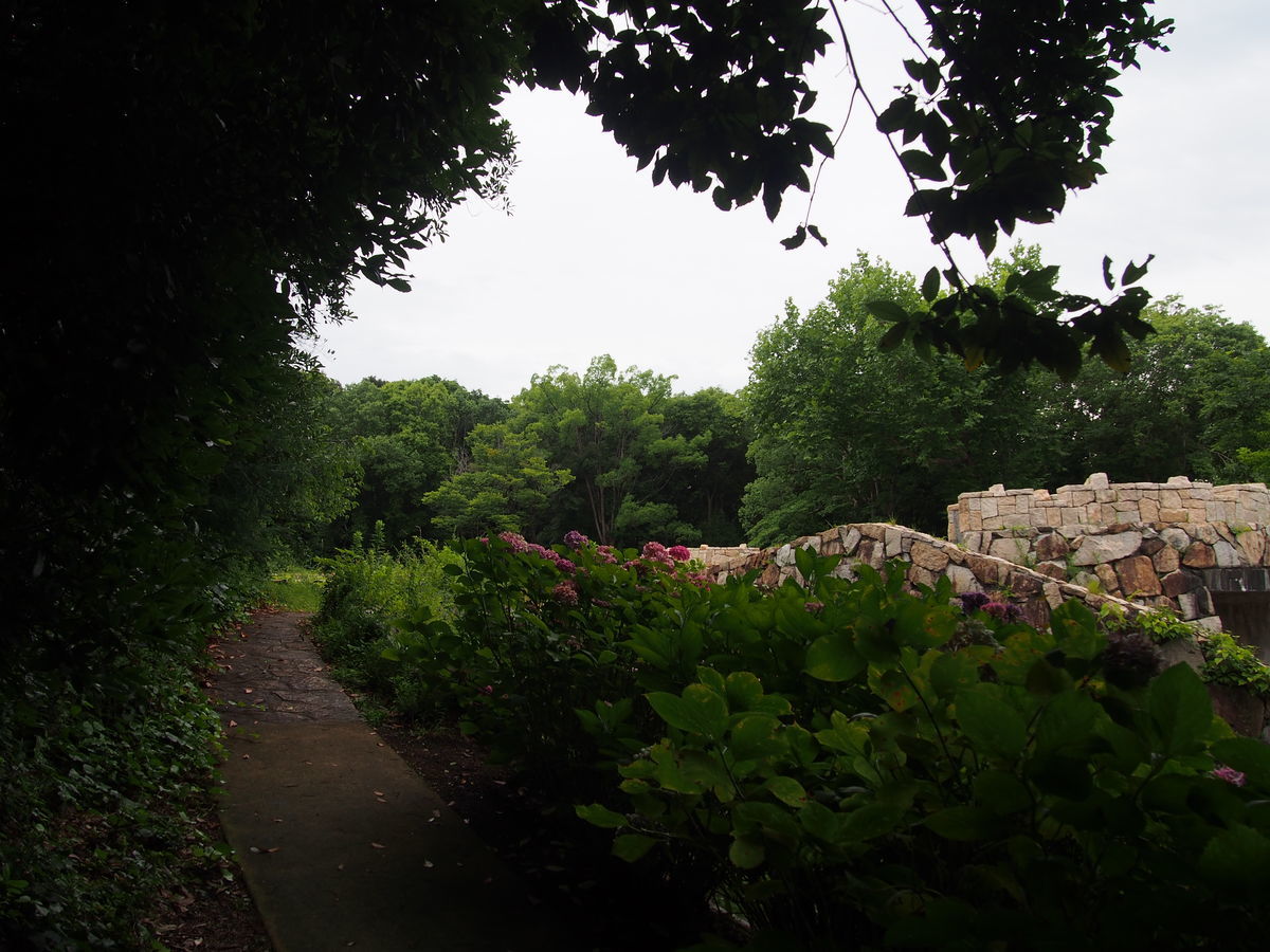 f:id:tra_live:20210711160133j:plain