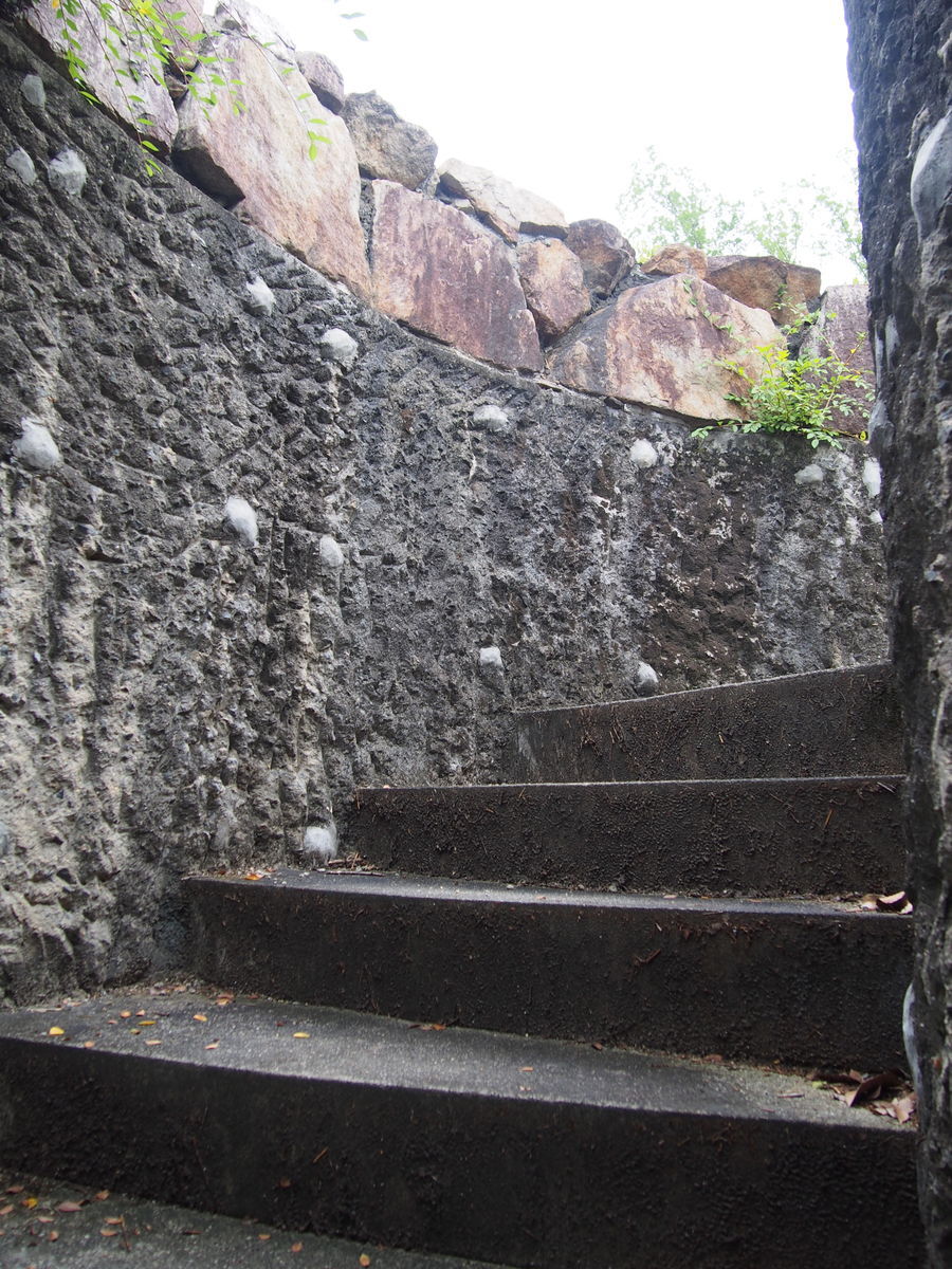 f:id:tra_live:20210711160253j:plain