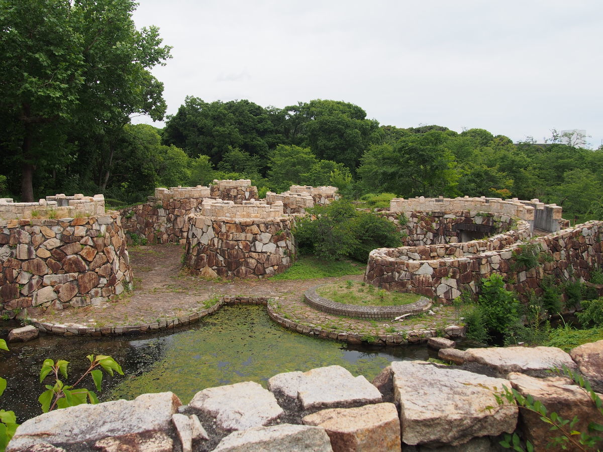 f:id:tra_live:20210711160323j:plain