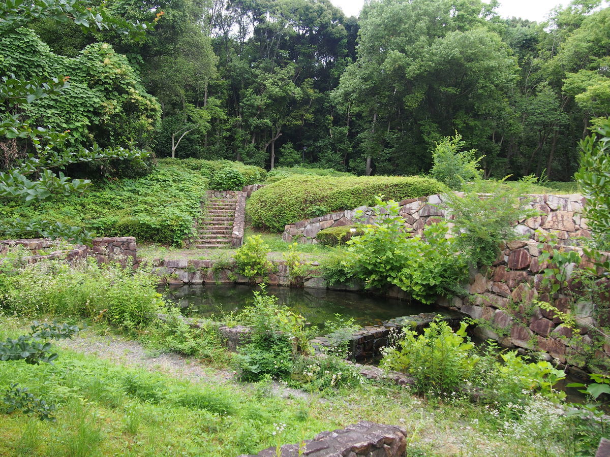 f:id:tra_live:20210711161534j:plain