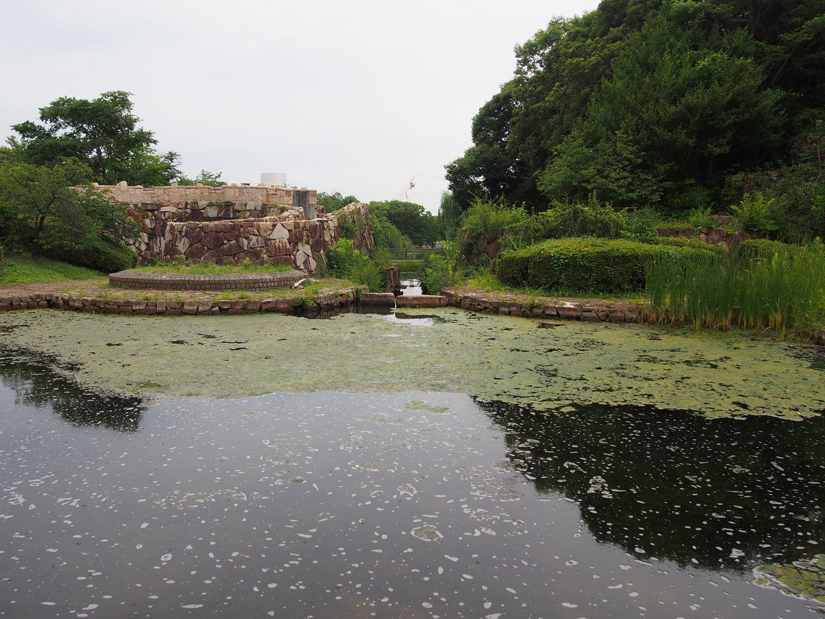 f:id:tra_live:20210711161607j:plain