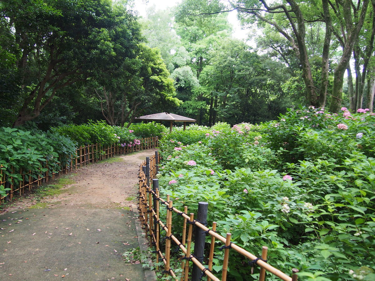 f:id:tra_live:20210711164929j:plain