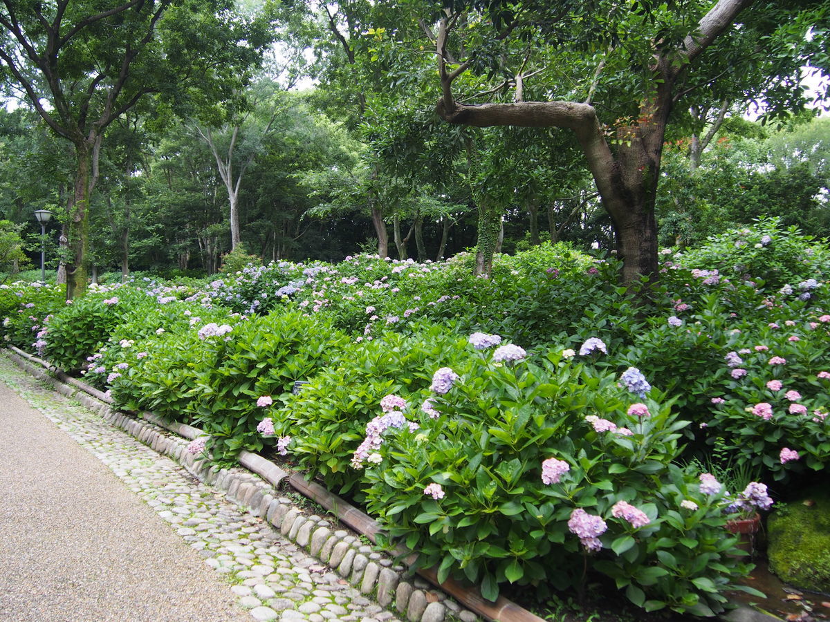 f:id:tra_live:20210711165656j:plain