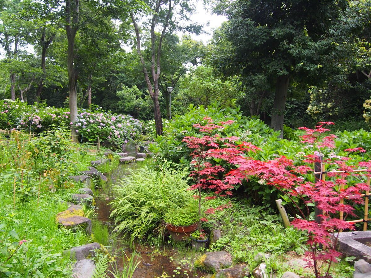 f:id:tra_live:20210711170450j:plain