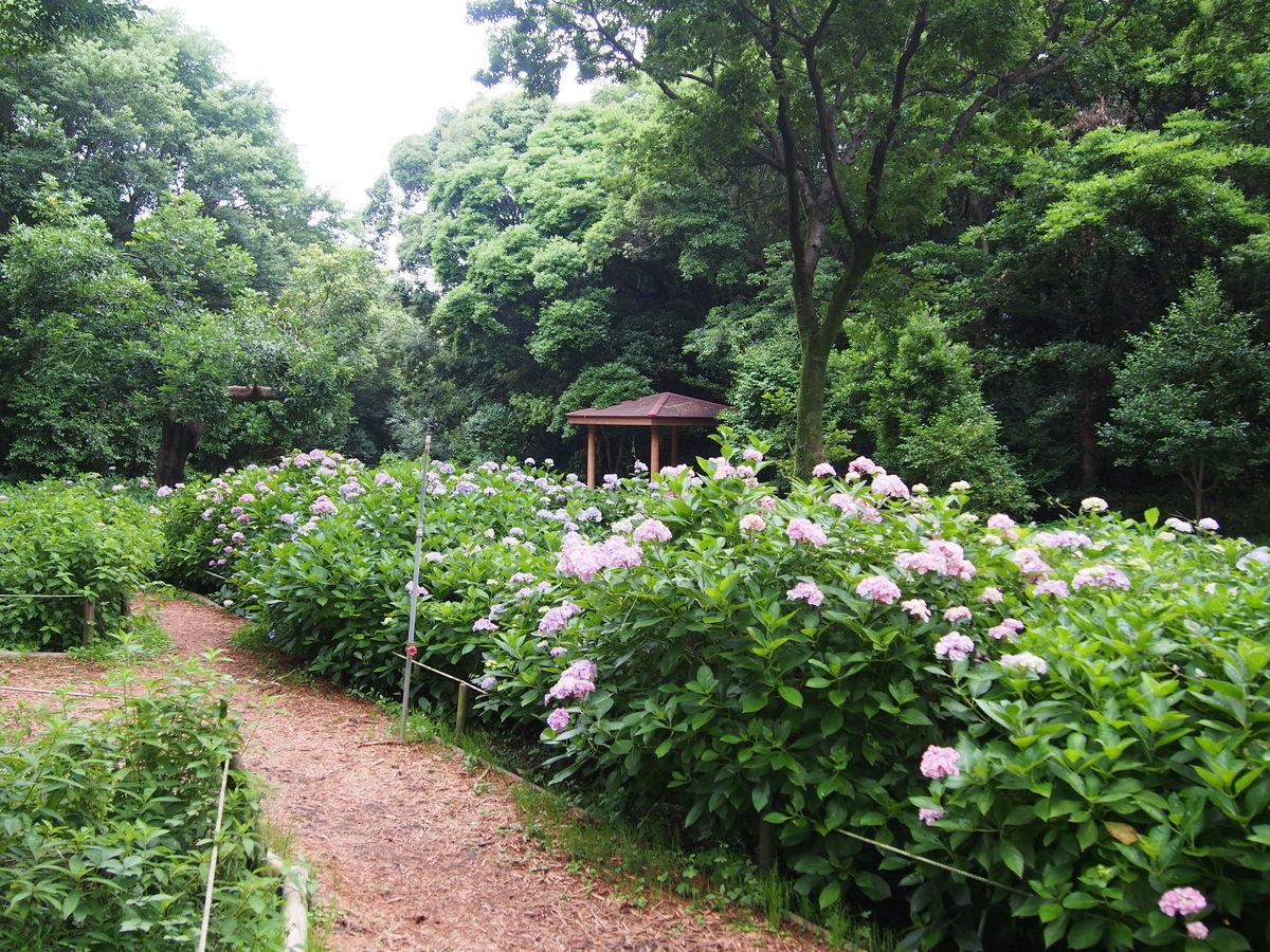 f:id:tra_live:20210711173803j:plain