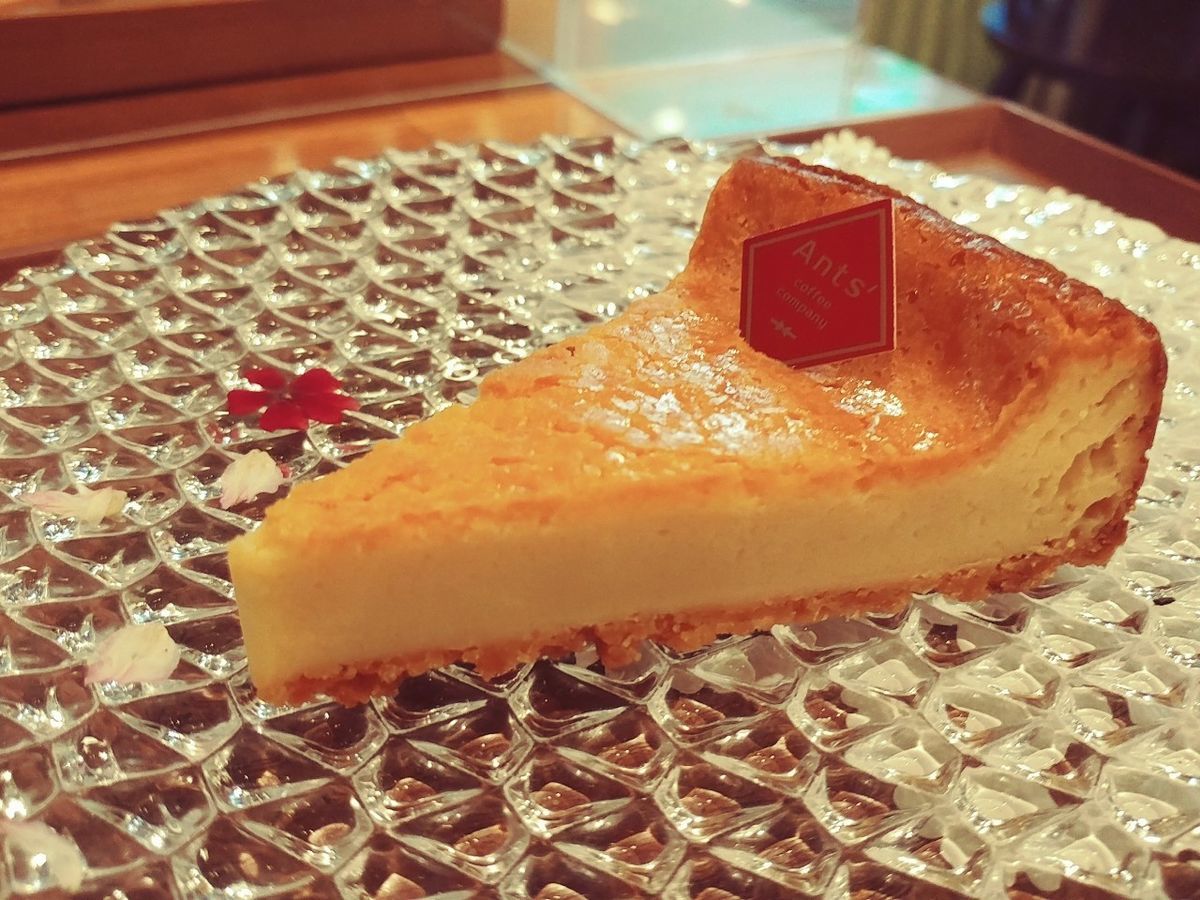 f:id:tra_live:20210821200827j:plain