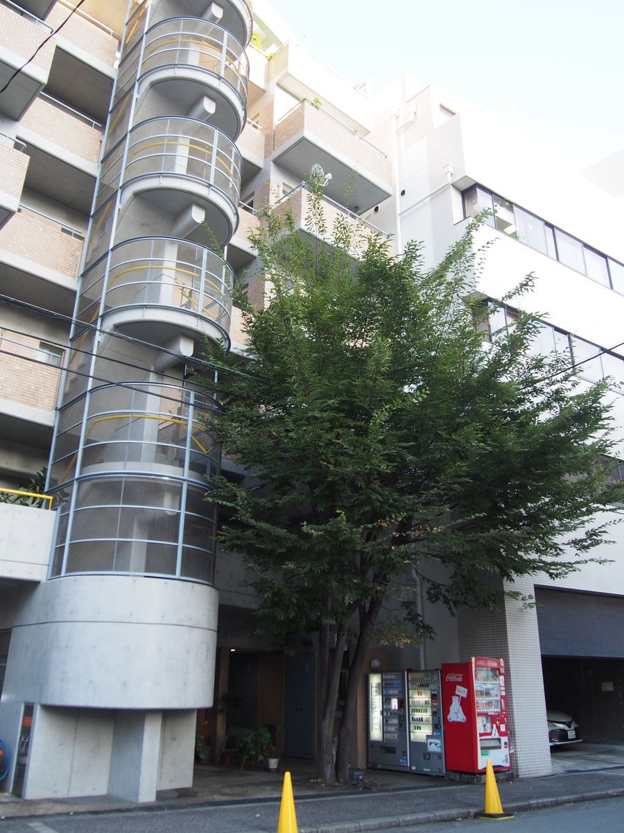 f:id:tra_live:20211006002416j:plain