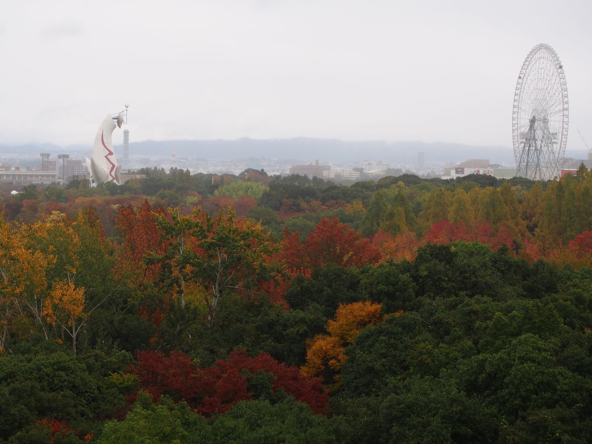 2021年11月上旬】万博記念公園・雨の日の自然文化園の様子 - TO travel IS TO live