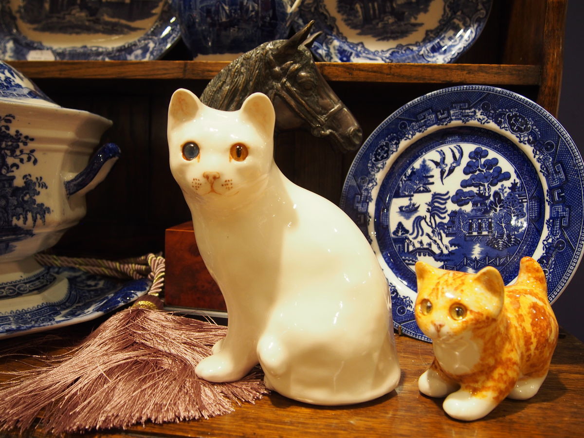 f:id:tra_live:20211127200035j:plain