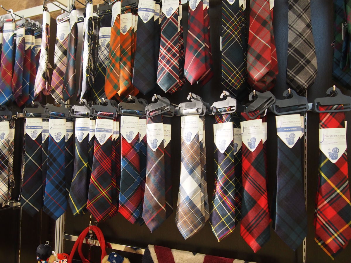 f:id:tra_live:20211127223452j:plain