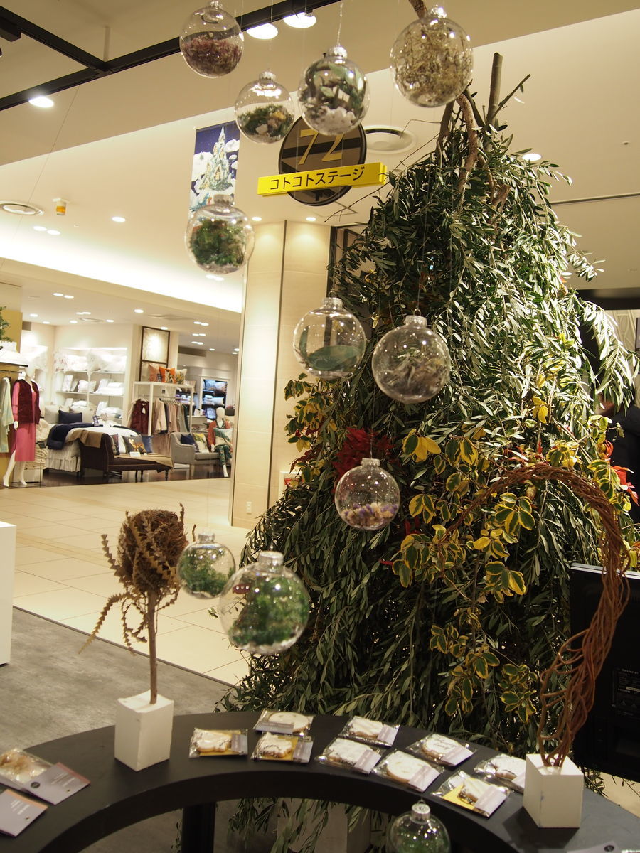 f:id:tra_live:20211206205047j:plain