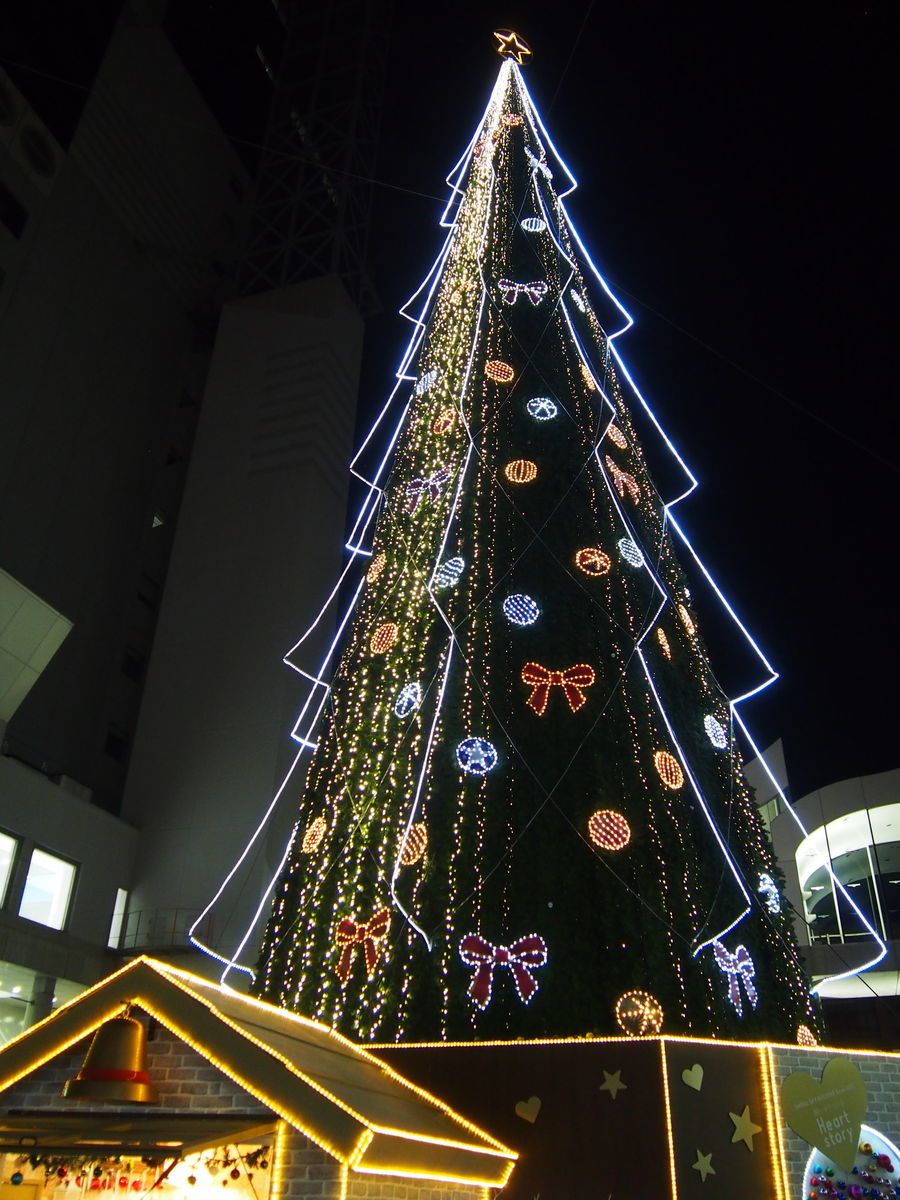 f:id:tra_live:20211224005936j:plain