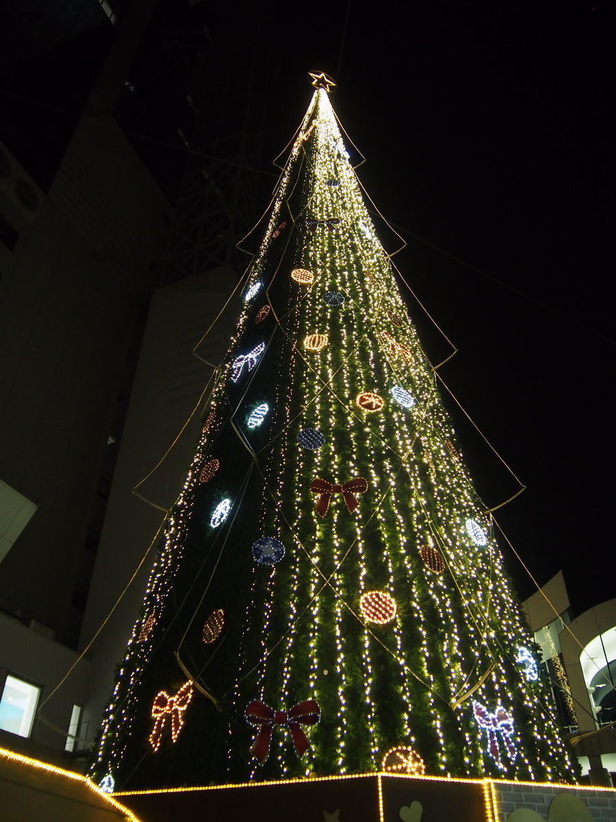 f:id:tra_live:20211224010304j:plain