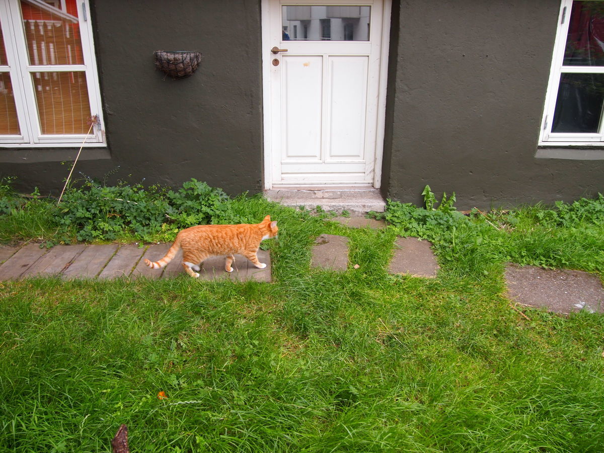 f:id:tra_live:20220106200102j:plain