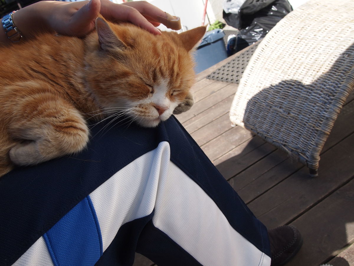 f:id:tra_live:20220111162430j:plain