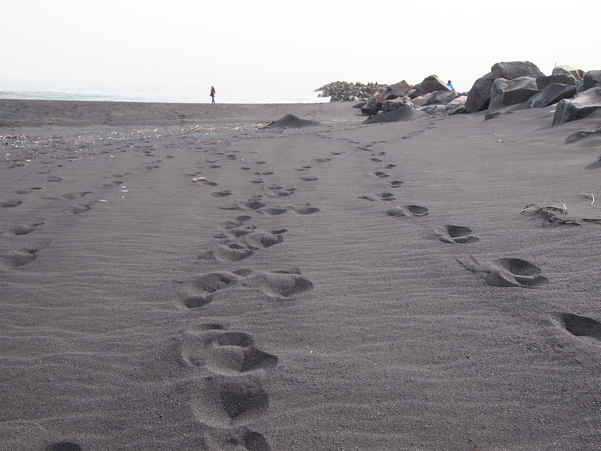 f:id:tra_live:20220111200113j:plain