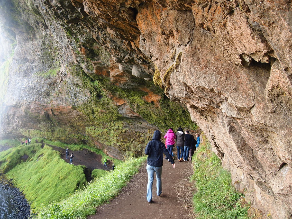 f:id:tra_live:20220111201113j:plain