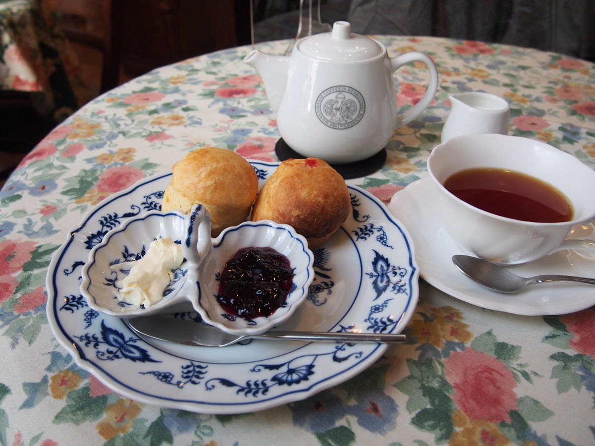 f:id:tra_live:20220125150534j:plain