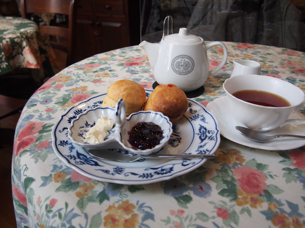 f:id:tra_live:20220125150613j:plain