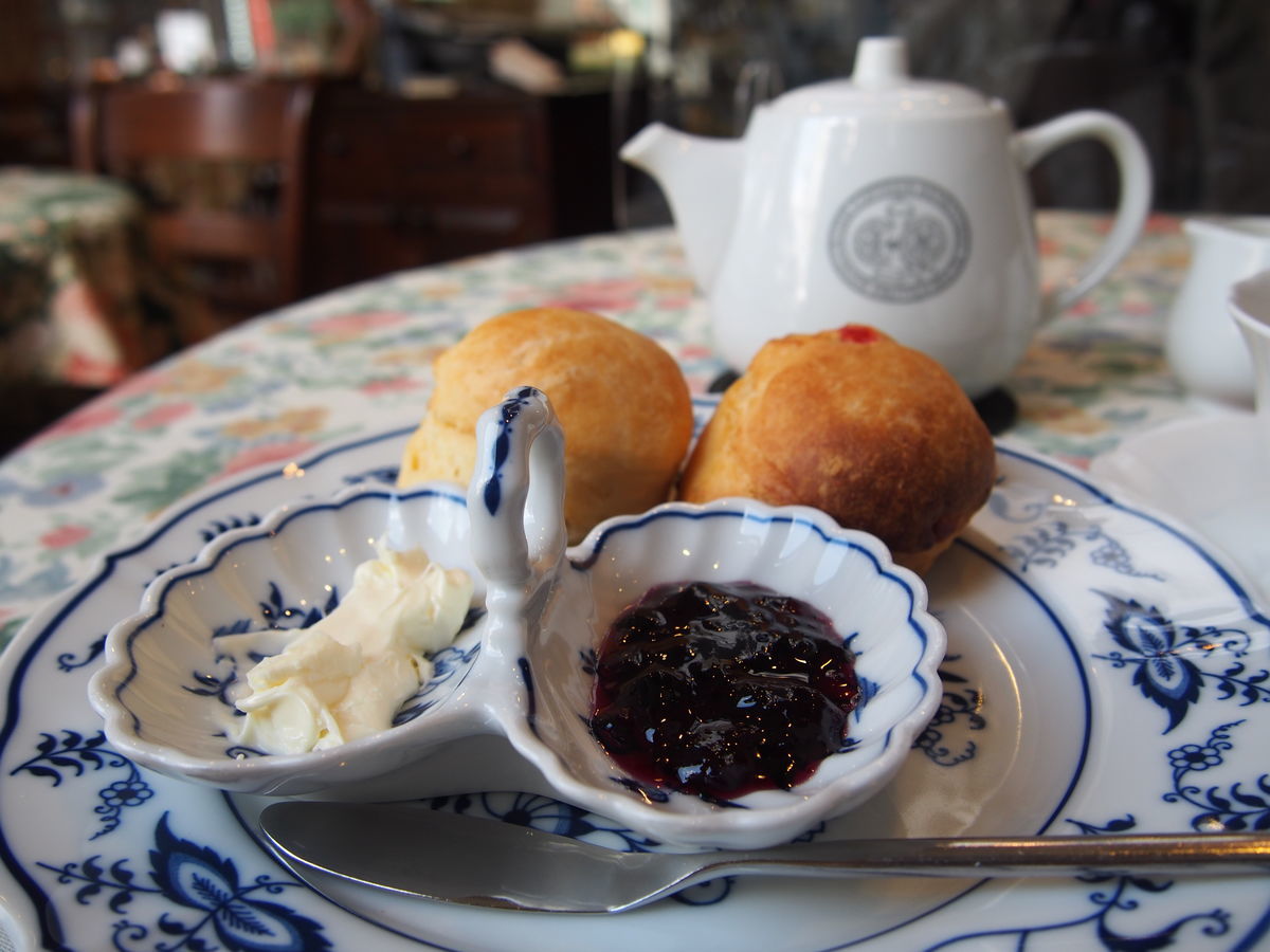 f:id:tra_live:20220125152018j:plain