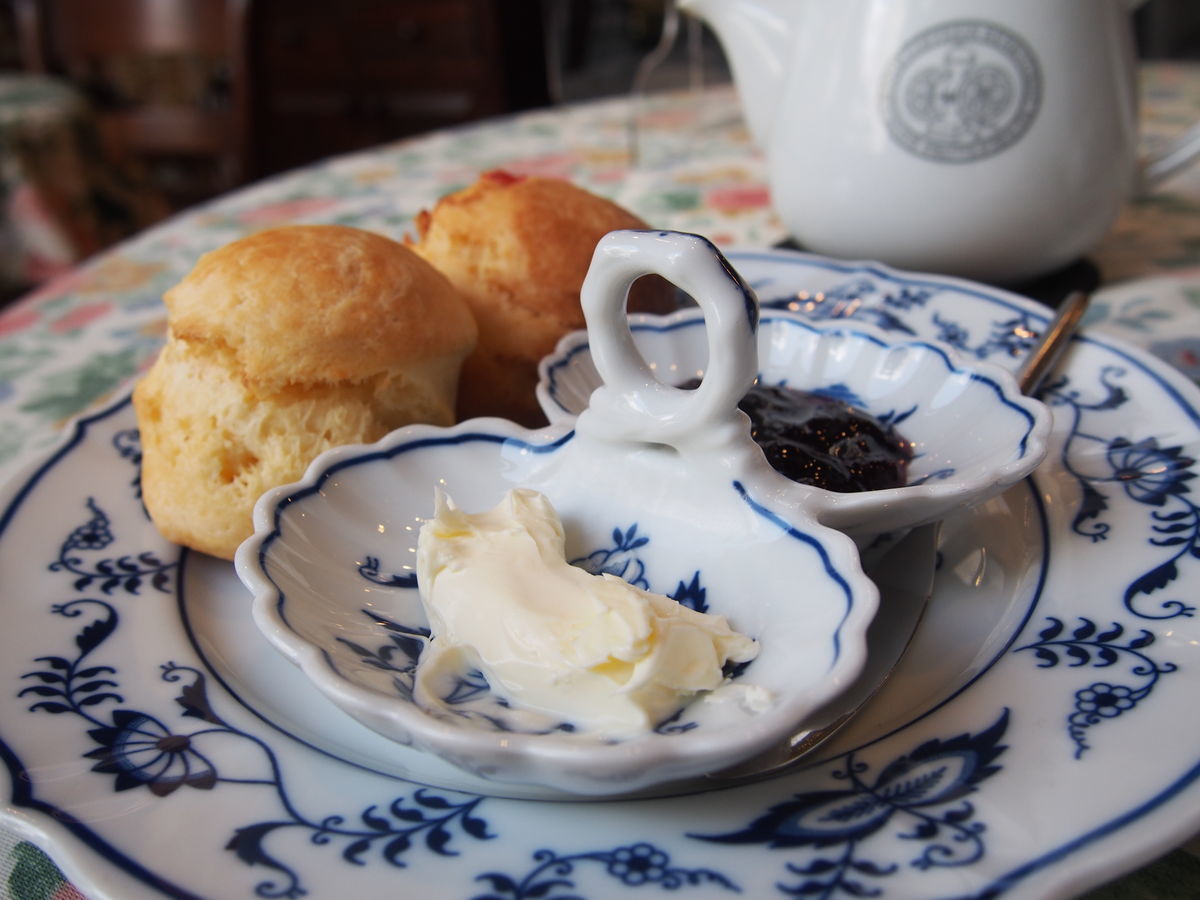 f:id:tra_live:20220125153505j:plain