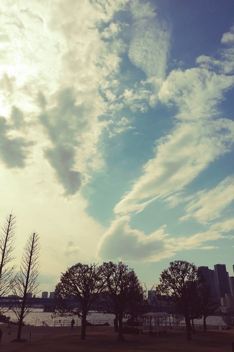 f:id:tra_live:20220308133146j:plain