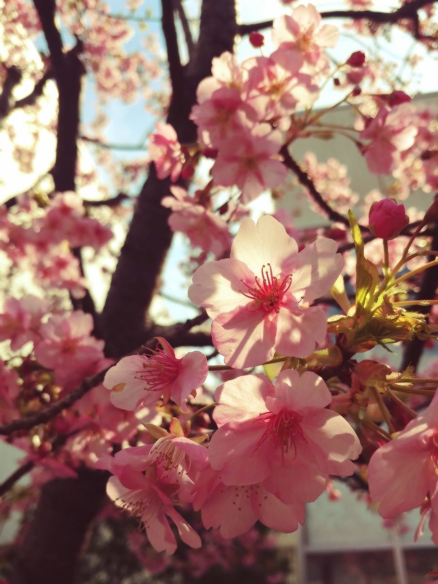 f:id:tra_live:20220308134408j:plain