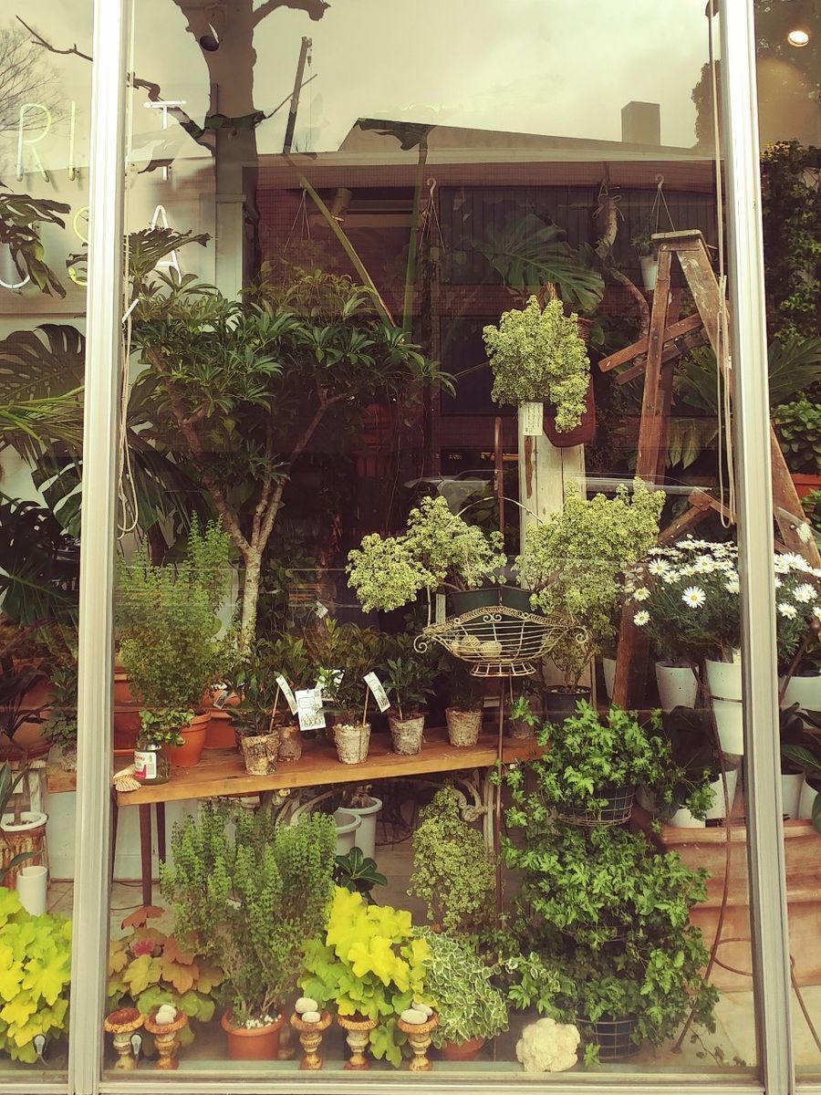 f:id:tra_live:20220308135341j:plain