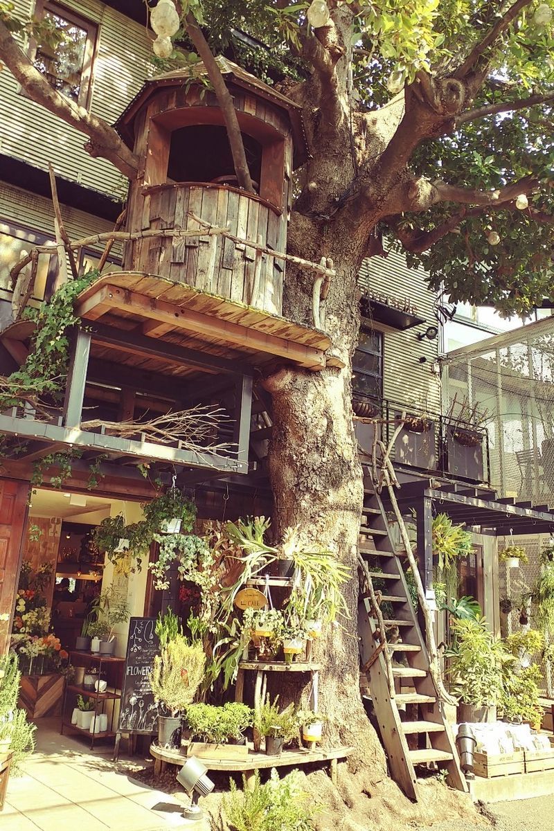 f:id:tra_live:20220308141432j:plain