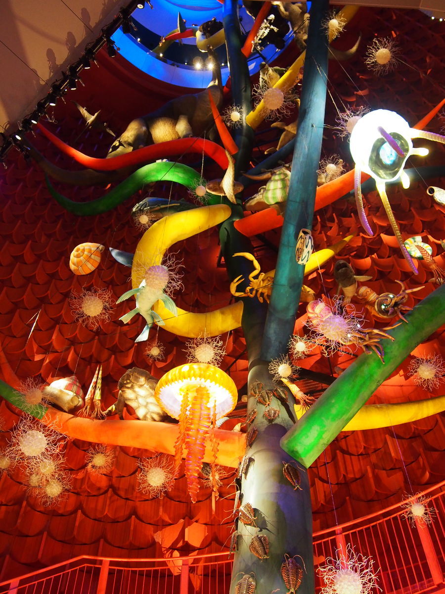 f:id:tra_live:20220308170916j:plain