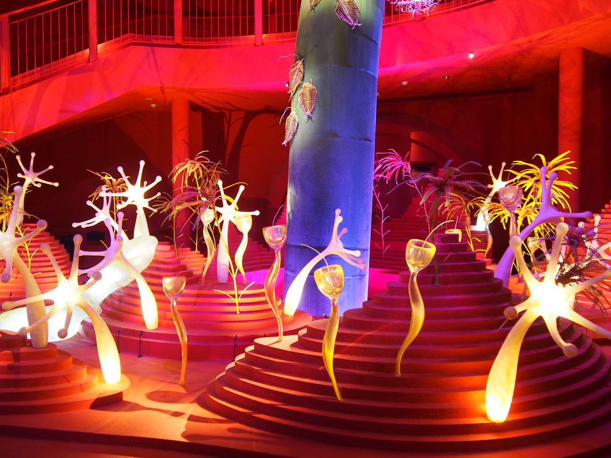 f:id:tra_live:20220308174643j:plain