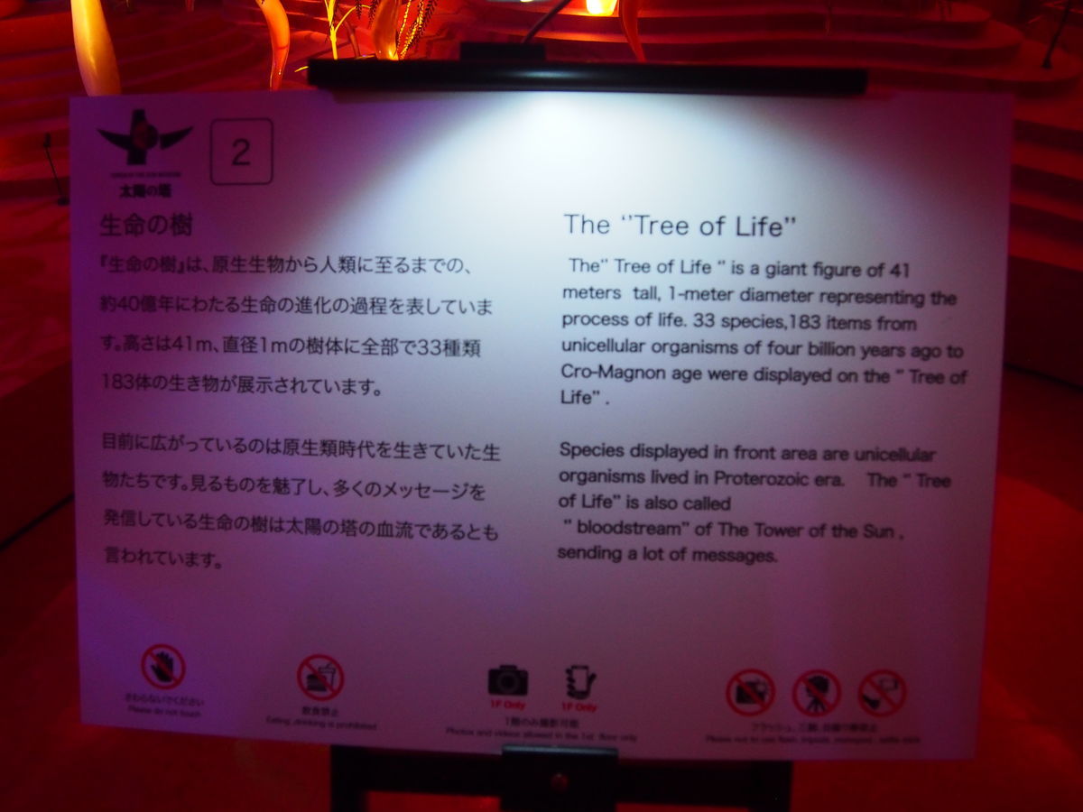 f:id:tra_live:20220308174733j:plain