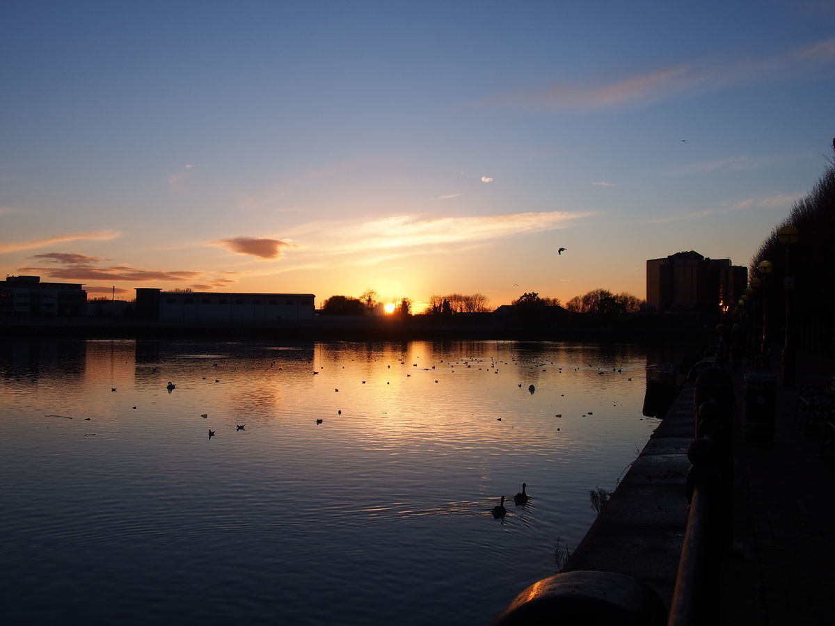 f:id:tra_live:20220315033144j:plain