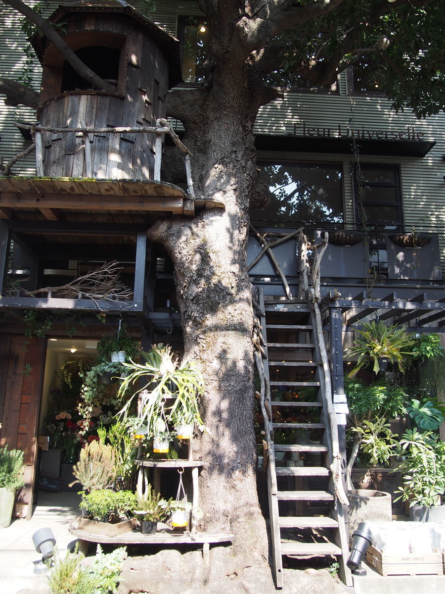 f:id:tra_live:20220315121549j:plain